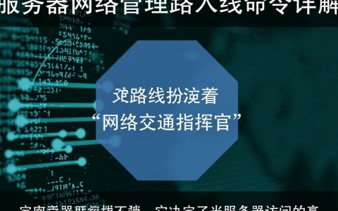 服务器设置默认路由命令是什么？具体步骤和参数有哪些？