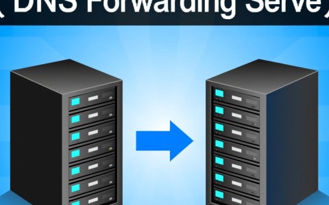 如何高效搭建域名转发服务器？探讨最佳实践与注意事项？