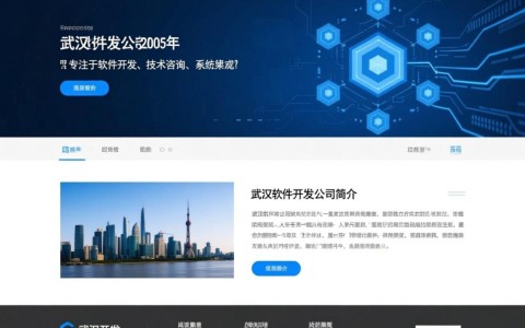 武汉软件开发公司官网揭秘，如何选择优质的软件开发服务？