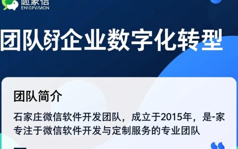 石家庄微信软件开发团队，他们如何创新技术满足企业需求？
