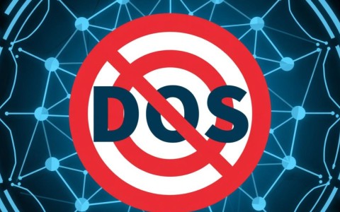 面对日益猖獗的DOS攻击，有哪些有效的解决方案能真正保护网络安全？