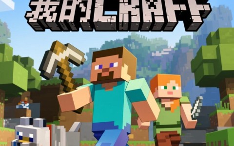 在我的世界中如何为服务器添加CDN以提升游戏体验？