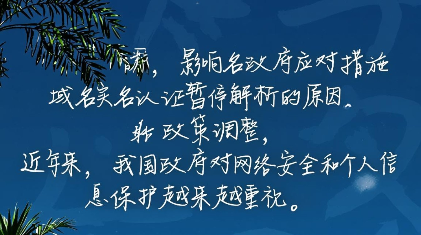 域名实名认证暂停解析背后原因揭秘，影响几何？未来走向何方？