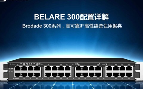 brocade 300配置疑问Brocade 300配置中，哪些细节需要注意？