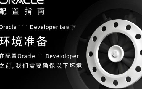 Oracle Developer配置过程中，如何确保高效且稳定的开发环境搭建？