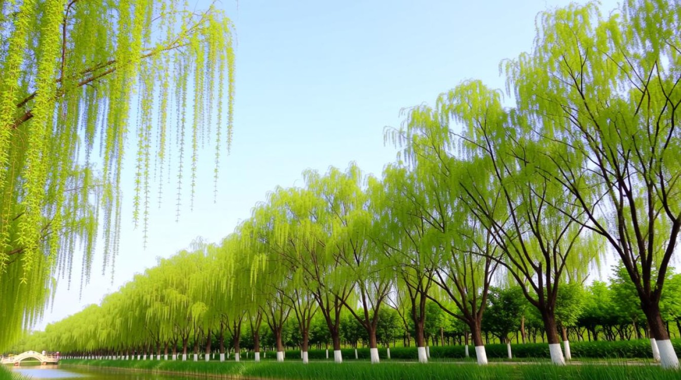 坳上镇刷树防虫主题党日活动为何选刷树方式防虫? 坳上镇刷树防虫主题党日活动为何选刷树方式防虫?