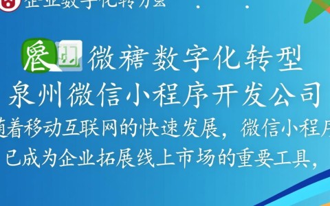 泉州微信小程序开发公司哪家强？如何选择优质服务商？