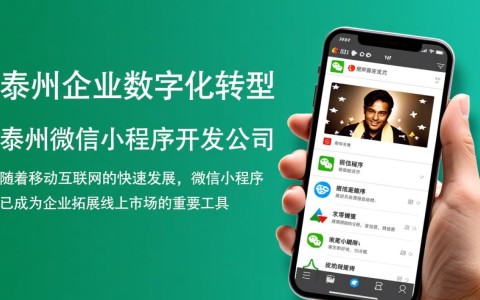 泰州微信小程序开发公司哪家实力强？如何选择合适的小程序开发服务商？