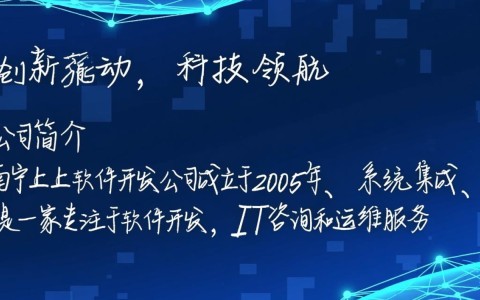 南宁上上软件开发公司二部，业务拓展背后的秘密是什么？