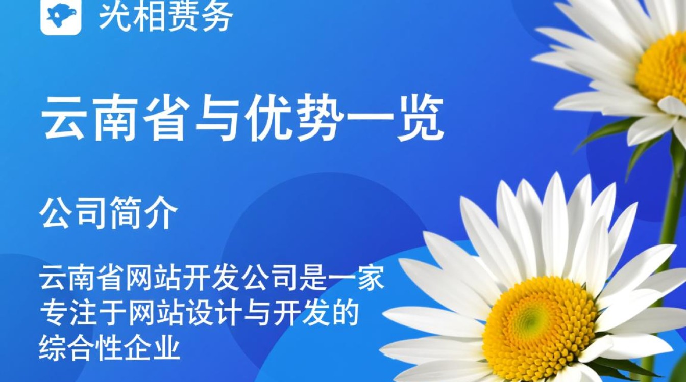 云南网站开发公司哪家更专业？性价比高的服务如何选择？
