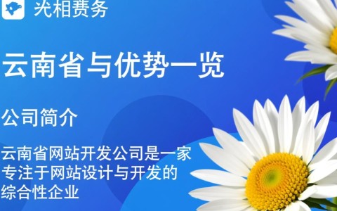 云南网站开发公司哪家更专业？性价比高的服务如何选择？