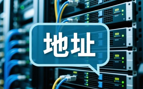 服务器设置里的地址具体指什么？如何正确配置与使用？