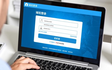 域名注册商官网域名登录入口在哪？详细步骤指引