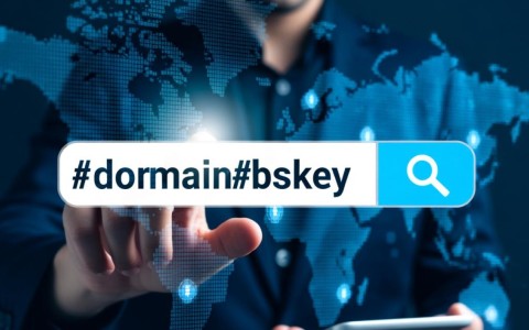 如何高效查询任意域名地址，有哪些实用工具和步骤？