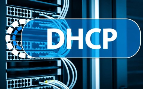 DHCP配置方法有哪些步骤和技巧，如何优化网络性能？