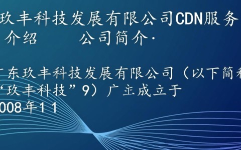 广东玖丰科技发展有限公司cdn业务具体有哪些优势与特点？