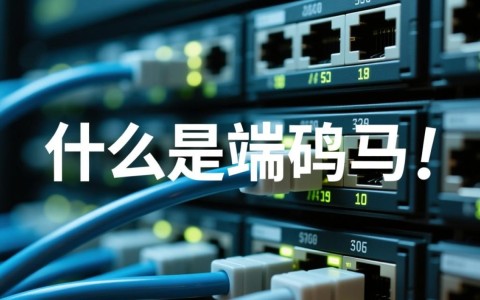 域名后缀为何藏着端口号？揭秘网络连接的神秘面纱！