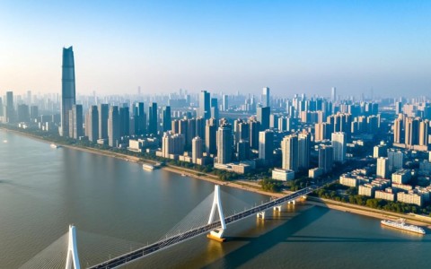 武汉软件开发公司如何实现高效赚钱，有哪些成功案例分享？