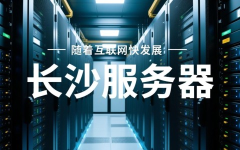 长沙优质服务器，哪家服务更胜一筹？性价比与稳定性如何权衡？