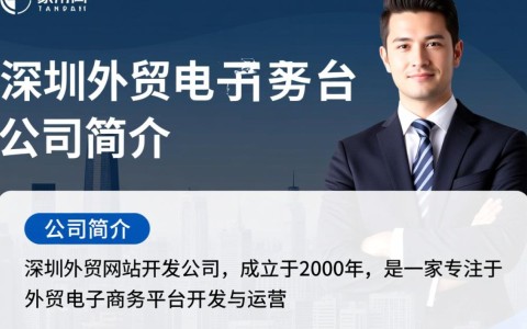 深圳外贸网站开发公司，如何确保网站国际化和SEO优化效果？