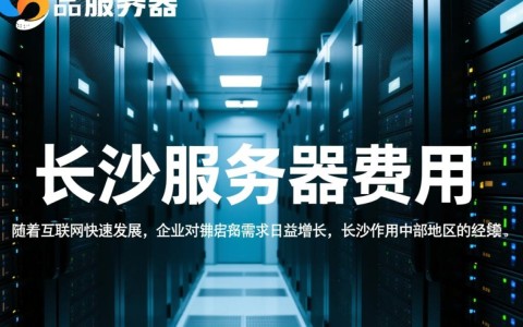 长沙服务器费用是多少？性价比分析及预算建议大揭秘！