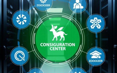 zookeeper 配置中心在分布式系统中的具体应用和配置细节有哪些？