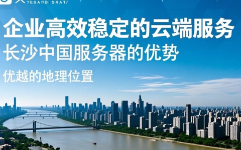 长沙中国服务器，为何成为行业焦点？揭秘其独特优势与挑战！