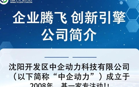 沈阳开发区中企动力，其发展前景与市场策略有何独特之处？