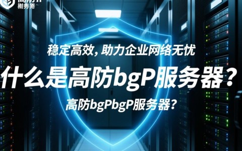 长沙高防bgp服务器，价格合理吗？性能如何？适合哪些用户？