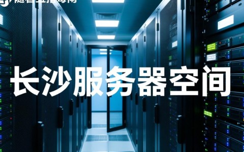 长沙服务器空间如何选择？性价比与稳定性哪家强？