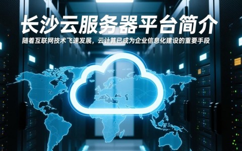 长沙云服务器平台，有哪些特色服务？价格如何？哪家性价比更高？