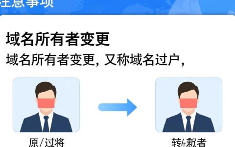 域名所有者变更过户过程中，有哪些关键步骤和注意事项？