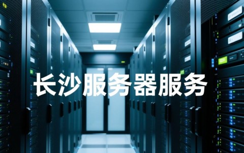 长沙服务器服务，哪家提供商更值得信赖？性价比与稳定性如何权衡？