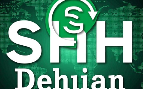 Debian系统SSH配置中，如何确保安全且高效连接？