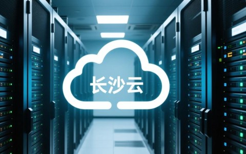 长沙云服务器租用，哪家服务商性价比更高，服务更优质？
