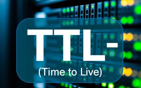 域名TTL究竟是什么？揭秘其背后的秘密与作用！