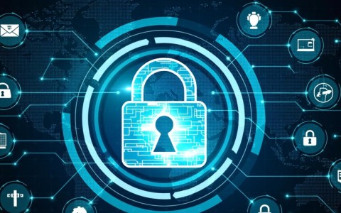 安全数据用图表