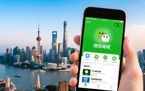 上海微信商城开发公司哪家更专业？如何选择合适的服务商？