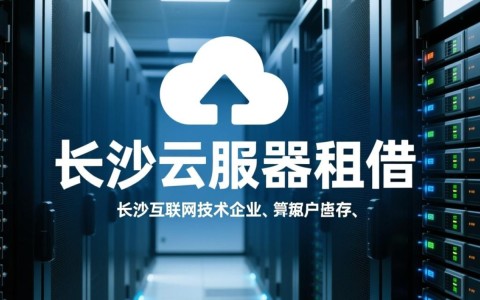 长沙云服务器租借，性价比高的服务商哪家强？