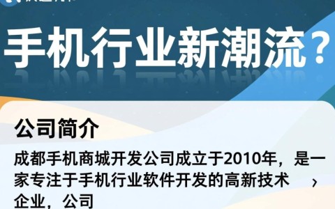 成都手机商城开发公司，如何确保技术领先与客户满意度？