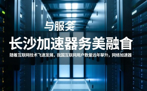 长沙加速器服务器为何在业界备受关注？揭秘其核心优势与独特价值！