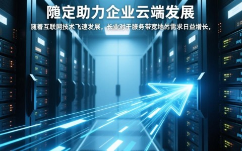 长沙服务器大带宽，如何选择性价比最高的方案？