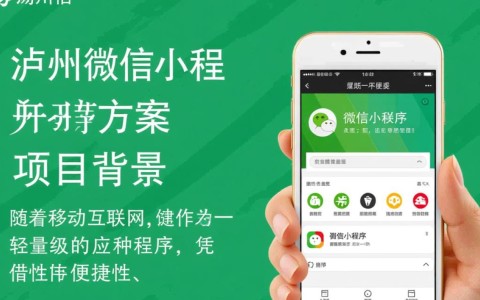 泸州微信小程序开发方案，有哪些关键要素和成功案例可以借鉴？