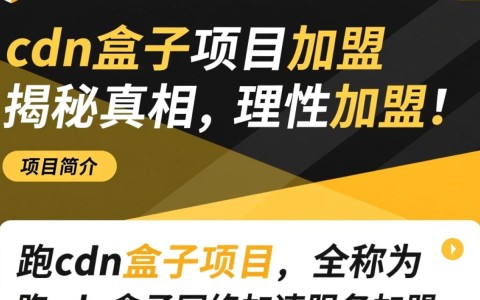 跑cdn盒子项目加盟，揭秘背后真相，是骗局还是良机？