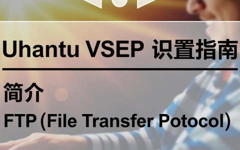 Ubuntu VSFTP配置时，如何确保安全性并优化性能？