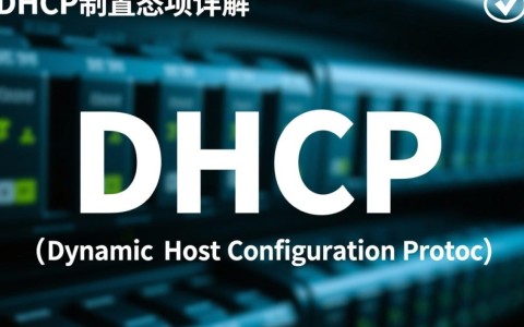 DHCP配置选项有哪些？详细解析及其应用场景是什么？