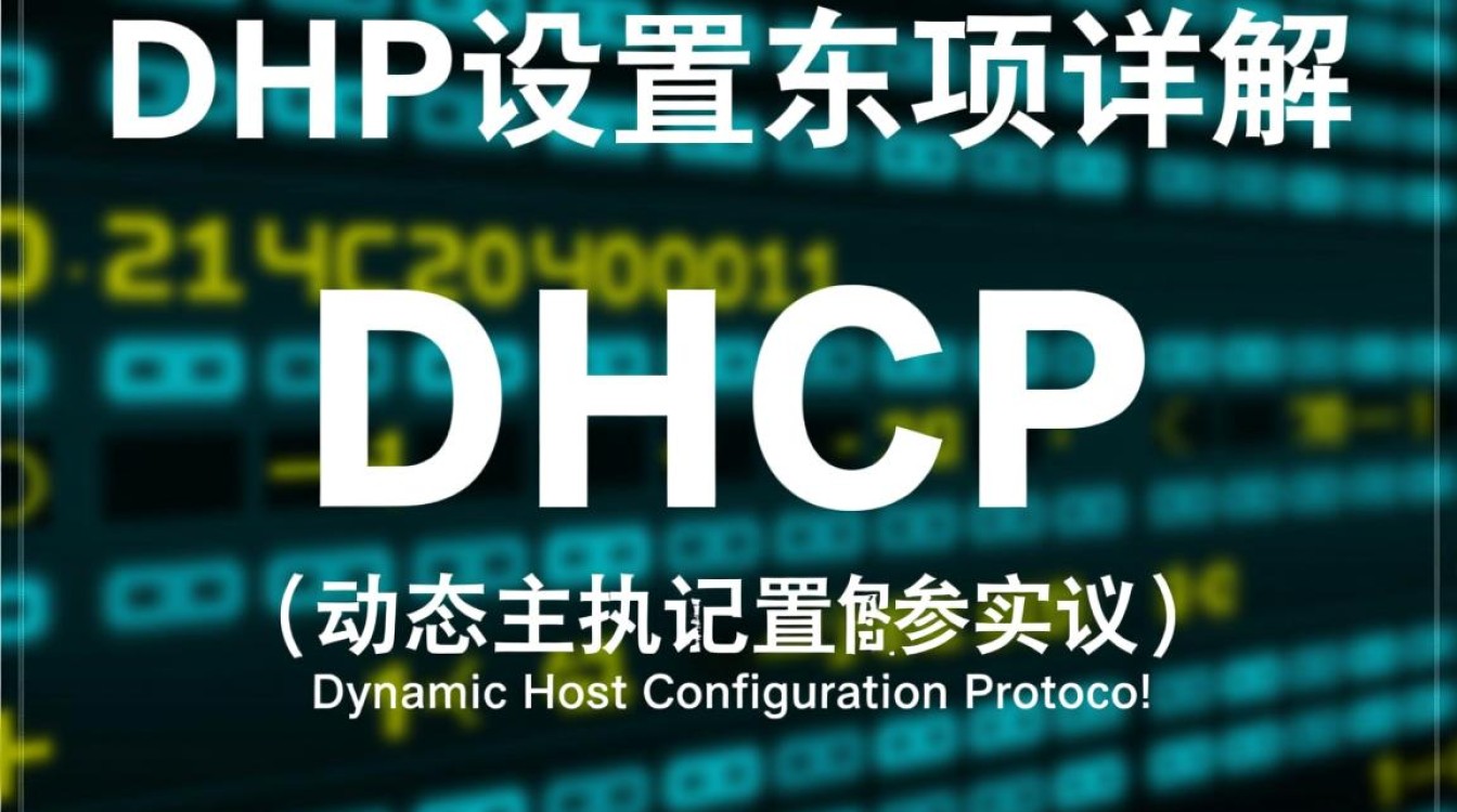 DHCP配置选项有哪些？详细解析及其应用场景是什么？