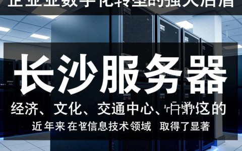 长沙服务器长沙背后有何独特优势，为何成为企业首选之地？