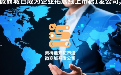 如何选择一家正规的微商城开发公司？揭秘优质服务商选择标准！