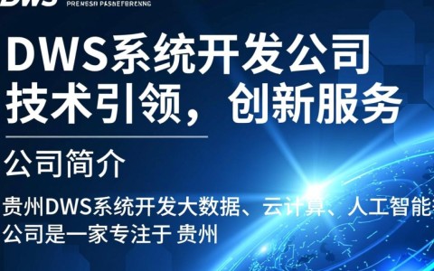贵州DWS系统开发公司，为何在贵州地区备受瞩目？